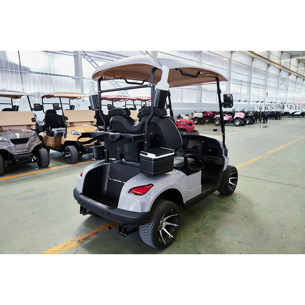 Kid Gas Conversion With Dump Bed Electric Golf Cart from China